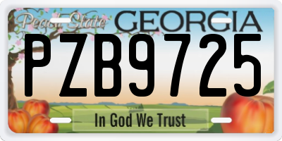 GA license plate PZB9725