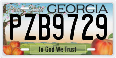 GA license plate PZB9729