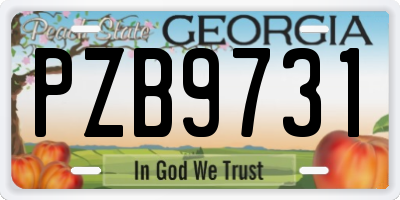 GA license plate PZB9731