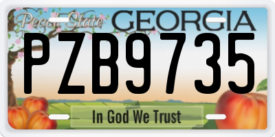 GA license plate PZB9735
