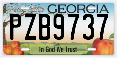 GA license plate PZB9737
