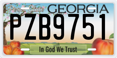 GA license plate PZB9751