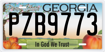 GA license plate PZB9773