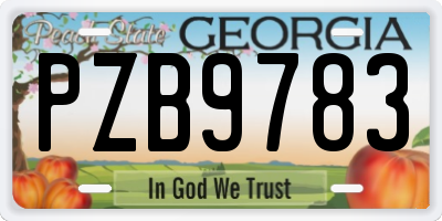 GA license plate PZB9783