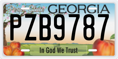 GA license plate PZB9787