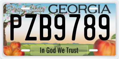 GA license plate PZB9789