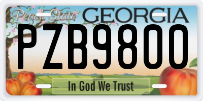 GA license plate PZB9800