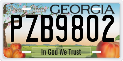 GA license plate PZB9802