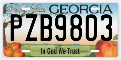 GA license plate PZB9803
