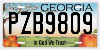 GA license plate PZB9809