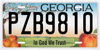 GA license plate PZB9810