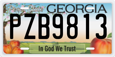GA license plate PZB9813