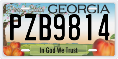 GA license plate PZB9814