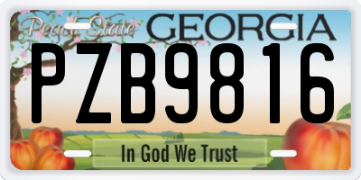 GA license plate PZB9816