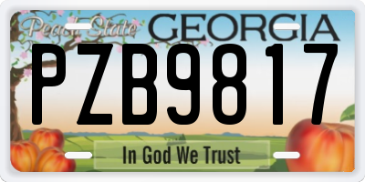GA license plate PZB9817