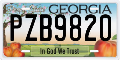 GA license plate PZB9820