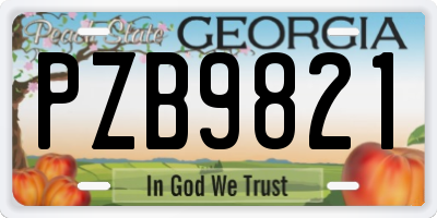 GA license plate PZB9821