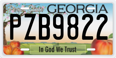 GA license plate PZB9822