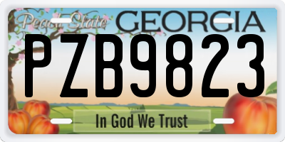 GA license plate PZB9823