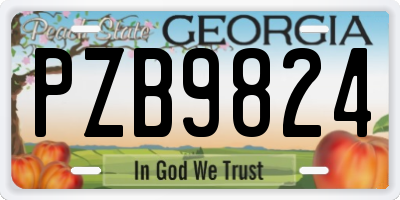 GA license plate PZB9824
