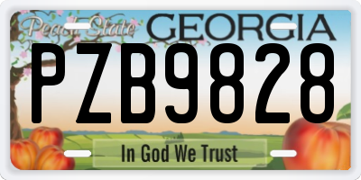 GA license plate PZB9828