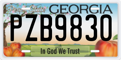 GA license plate PZB9830