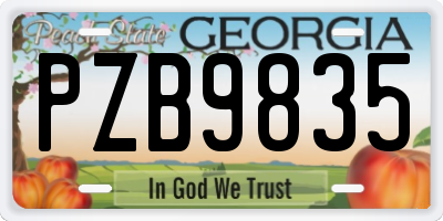 GA license plate PZB9835