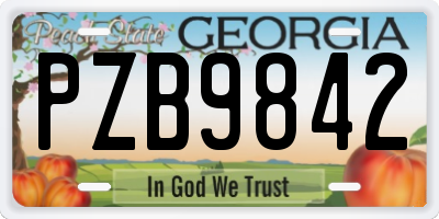 GA license plate PZB9842