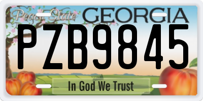 GA license plate PZB9845