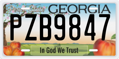 GA license plate PZB9847