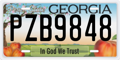 GA license plate PZB9848