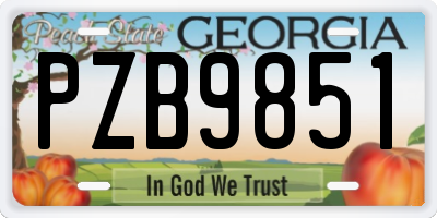GA license plate PZB9851
