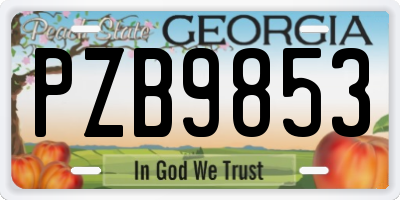 GA license plate PZB9853