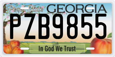 GA license plate PZB9855