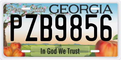 GA license plate PZB9856
