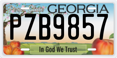 GA license plate PZB9857