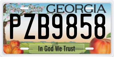 GA license plate PZB9858