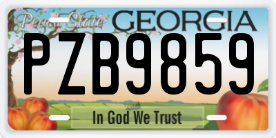 GA license plate PZB9859