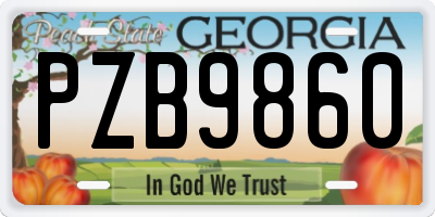 GA license plate PZB9860