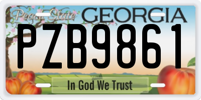 GA license plate PZB9861