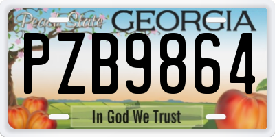 GA license plate PZB9864