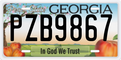 GA license plate PZB9867