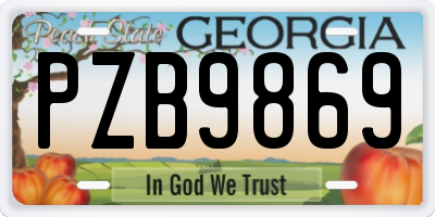 GA license plate PZB9869