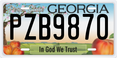 GA license plate PZB9870