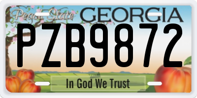 GA license plate PZB9872