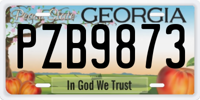 GA license plate PZB9873