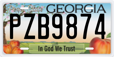 GA license plate PZB9874