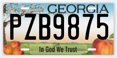 GA license plate PZB9875