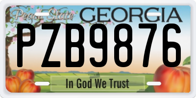 GA license plate PZB9876