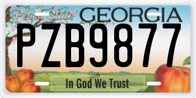 GA license plate PZB9877